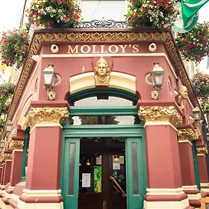 Molloys , Dublin Ireland
